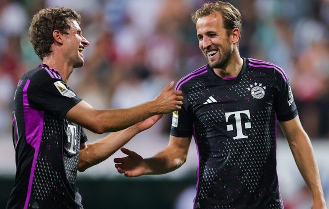 森林狼与活 森林狼与活