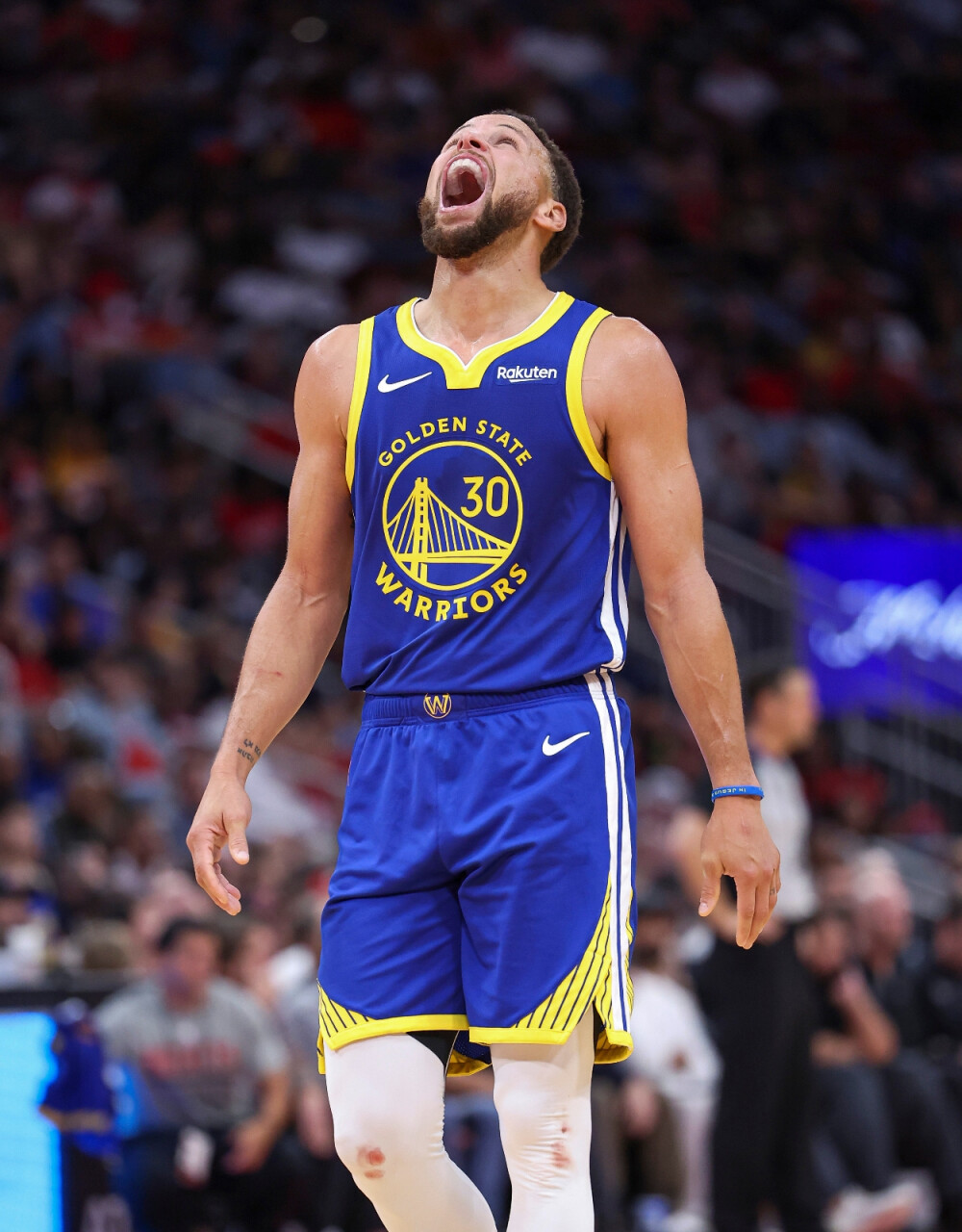 会进一步上 会进一步上