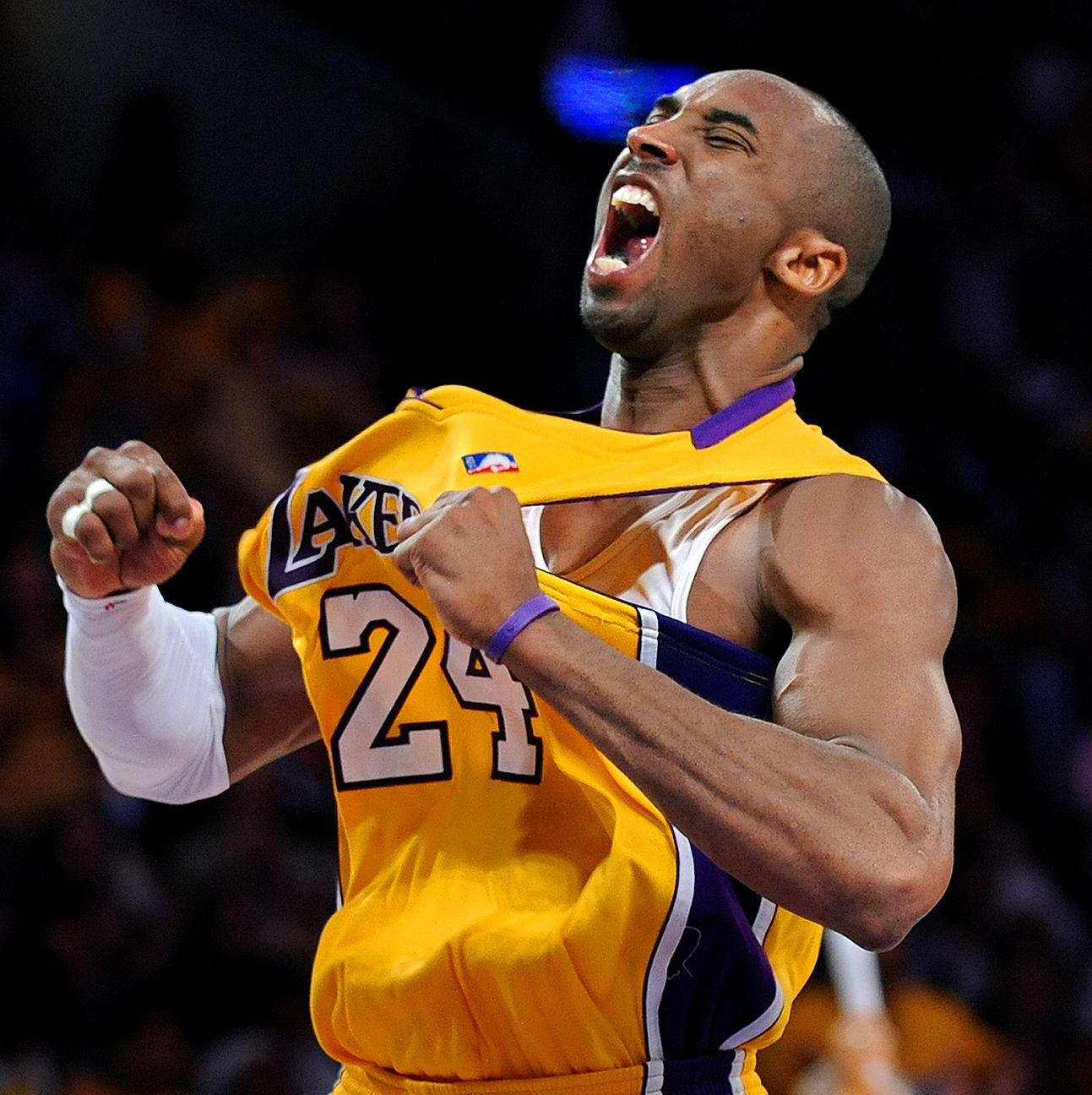 的完整闭环 的完整闭环